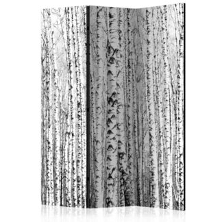 Paraván Birch forest Dekorhome 135x172 cm (3-dílný)